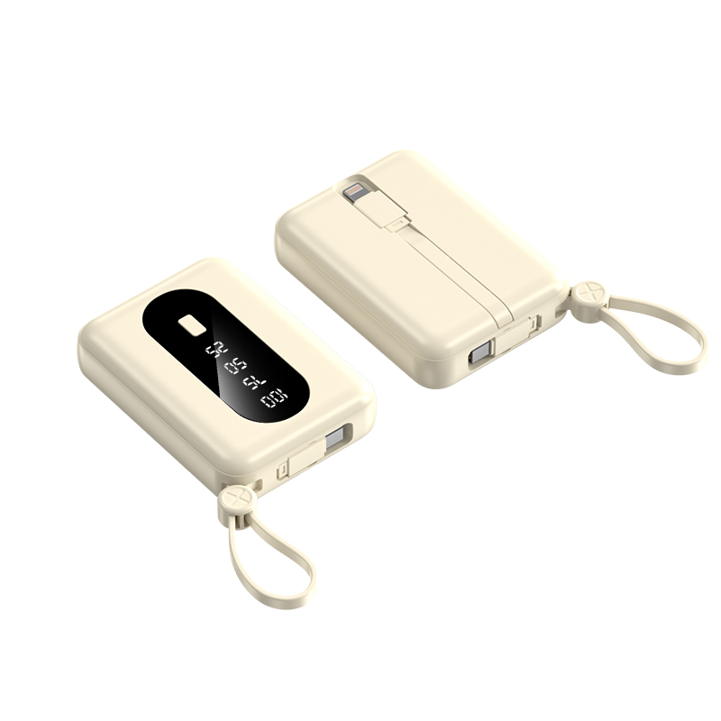 Portable power bank